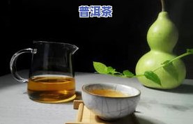 圆普洱茶的正确冲泡方法：从弄碎到品饮全过程解析