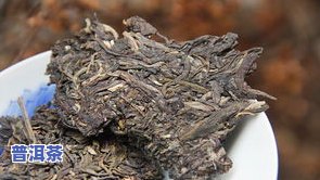 普洱山头茶的特点：种类、产地、口感与功效全面解析