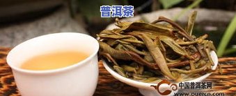 普洱山头茶的特点：种类、产地、口感与功效全面解析