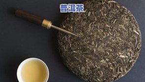 全面解析：怎么泡普洱茶熟茶茶饼视频教程