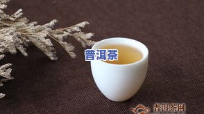 普洱茶品饮对比-普洱茶品饮对比图