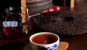 深入解析：曼松普洱茶的独特口感特点