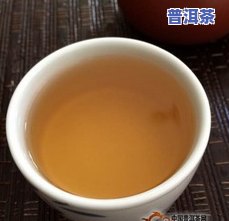 攸乐迷惑普洱茶多少钱-攸乐诱惑普洱茶价格