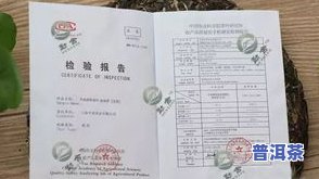 普洱茶序言-普洱茶茶序