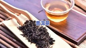 普洱茶评判标准-普洱茶评判标准最新