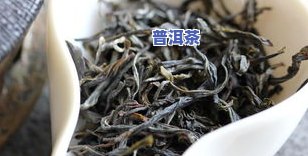 深入了解云南临沧普洱茶：特点、口感与评价