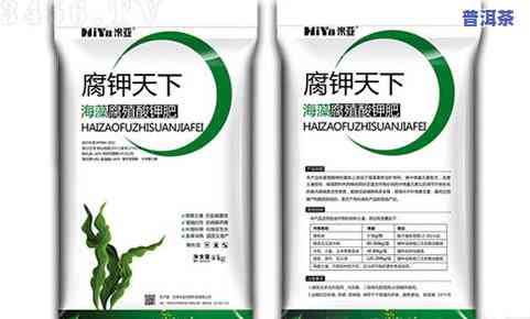 康力普洱茶的功效：全面解析其1-13种作用与好处