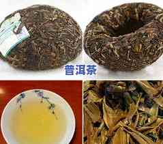 大益普洱茶甲沱新版与旧版有何区别？哪年的大益甲沱更好？怎样评价大益甲沱？