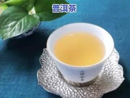 普洱茶汤香的茶种、及种类全解析