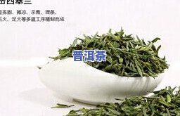 广东茶叶有哪些？探索广东名茶、品种与