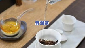 怎么洗普洱茶最干净的方法视频教程