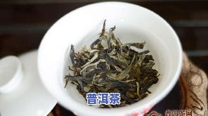 易武麻黑99年普洱茶-易武麻黑普洱茶价格