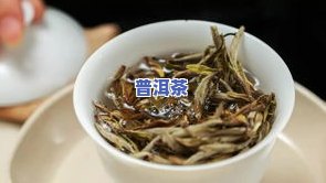 斗记白茶价格表：白牡丹、古韵白茶及茶值得收藏吗？