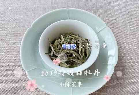 斗记白茶价格表：白牡丹、古韵白茶及茶值得收藏吗？