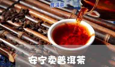 冰岛普洱茶熟茶357克价格2013年：历史回顾与市场分析