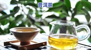 普洱茶一天可以泡几次-普洱茶一天可以泡几次吗