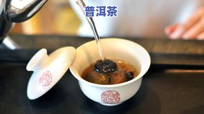 普洱茶可以用煮茶器泡着喝吗？详解原因与视频教学