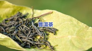 十大茶叶图片及名称及价格全览：一下，熟悉最新排行榜