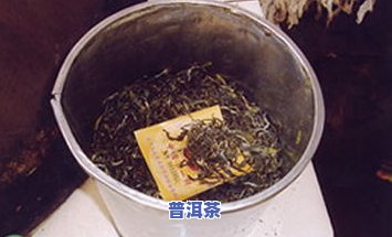 完整教程：煮茶器普洱茶冲泡步骤与图片、视频详解