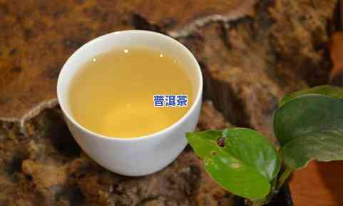 普洱茶世博版价格多少钱-普洱茶世博版价格多少钱一斤