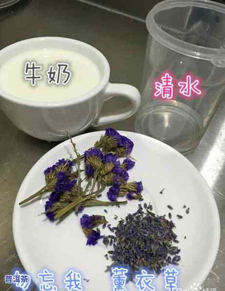 普洱茶自制饮料：做法、配方与好处全解析