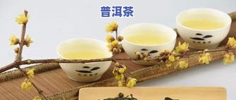 喝糯米香普洱茶会拉肚子吗，解惑：喝糯米香普洱茶是不是会引发腹泻？