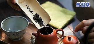 云南普洱茶发霉：好不好喝？如何辨别？是否能喝？看图视频了解