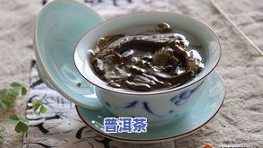 普洱茶冷冻保存：是否能喝？冷冻与冷藏有何区别？长期保存可行吗？