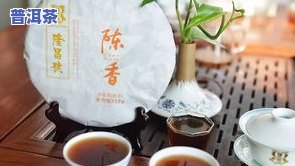 普洱茶冻了能喝吗？解冻方法与注意事项