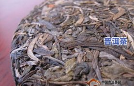 老古董普洱茶怎样介绍产地-老古董普洱茶怎样介绍产地的