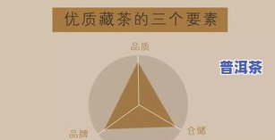 揭示茶叶优异品质的形成条件与原因