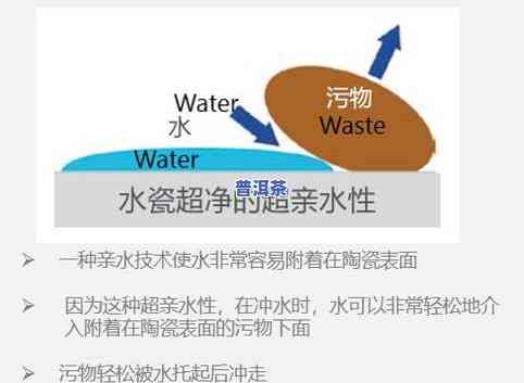 全面解析：普洱茶新产品研发技术要求及其特点