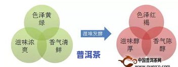 探究普洱茶品质：作用因素、因子及特点，怎样判断其好坏?