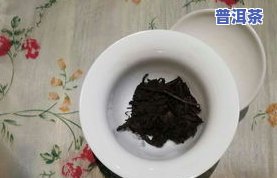 普洱茶拿茶杯泡可以吗-普洱茶拿茶杯泡可以吗怎么泡