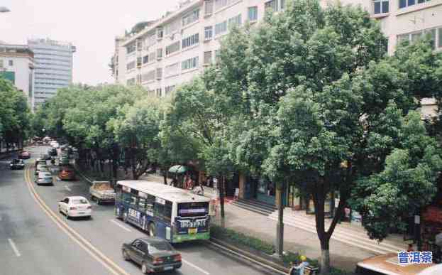 四川德阳茶叶批发城-四川德阳茶叶批发城在哪里