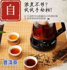 普洱茶能否用蒸茶器？怎样正确采用蒸茶器泡普洱茶？