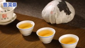 如何巧妙运用普洱茶渣：从泡茶到制茶全解析