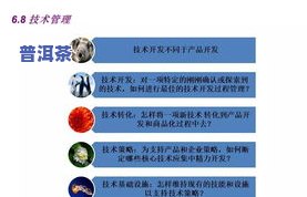 普洱茶新产品研发流程视频播放大全