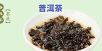 云南百年古树茶价格多少？一斤、老树、千年图片全包含！