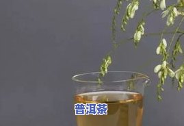 百年古树普洱茶云南-百年古树普洱茶云南有卖吗