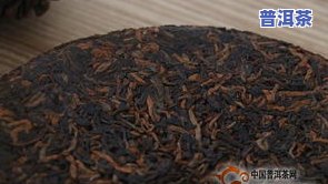 普洱茶用什么壶来泡更好？详细解析