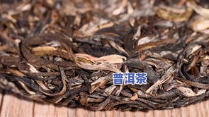 上海普洱茶高手制作的茶叶：揭秘其独特工艺与口感