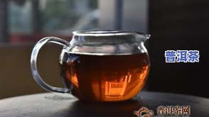 普洱茶祖宗-普洱茶的祖宗