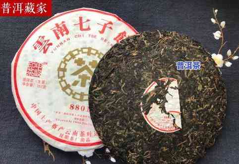 普洱茶2线茶厂-普洱茶二线茶厂有哪些?