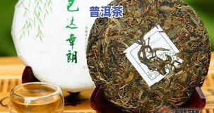 高雅普洱茶-普洱茶雅韵