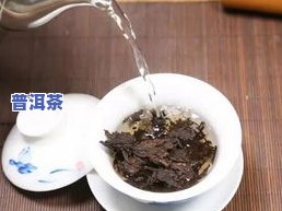 普洱茶怎么区分生茶与熟茶、好坏及等级？