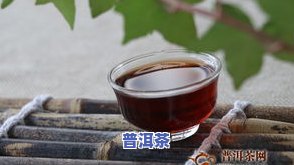 普洱茶单品介绍文案：、口感、功效全解析