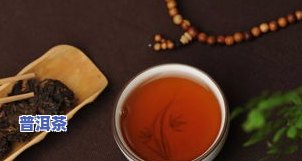 令人着迷的普洱茶：茶类、特点与分类全解析