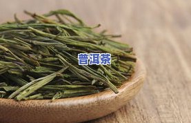 广西南山白毛茶圣种生态茶博园地址及联系电话