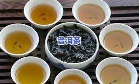 贡茶大红袍是什么茶？详解其种类、茶种及所属类别